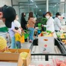 세일붐