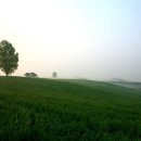 고요목장 이미지