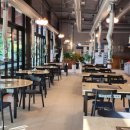 황금장어 이미지