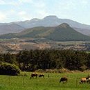 재현목장 이미지