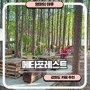 길상로 | 메타포레스트 강화 아이랑 카페 추천 인천 분위기 좋은 야외 카페 내돈내산 솔직후기
