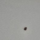 뉴시즈 센텀 호텔 이미지