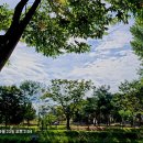 평택 소풍정원.. 이미지