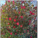 옥계마을회관 이미지