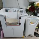 애견미용 나나엄마 이미지