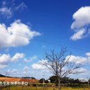 The좋은아침펜션 이미지