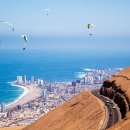 왕실동물병원 이미지