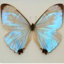 퍼널연구소 이미지