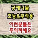 궁채나물 효능 국산 건 궁채나물 칼로리 이미지