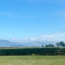 화명 오토캠핑장 이미지