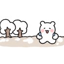 티엔티부산 - 동구 중앙대로180번길 6-11 | 티엔티부산