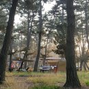 몽산포자동차야영장 이미지