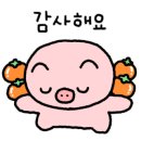 군포 시골집 갈치밥상