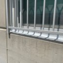 더펠리스 이미지