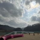 지리산 보더콜리 | 보더콜리 마리의 어질리티 체험기 / 세종 충청권 어질리티클럽 파이스티 / 로빈이네운동장