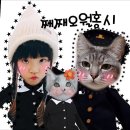 따뜻한 동물병원 | 영주에서 만나는 따뜻한 공간, 마리동물병원