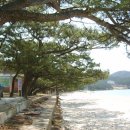 (해남신문)송림속 오토캠핌장 갖춘 송호리해수욕장 이미지