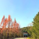 밸리당구장 | 삼척 파인밸리 cc 2부 라운딩, 쏠비치리조트 삼척, 전현무계획 삼척 맛집 동해안 후기