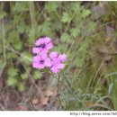 사기점농장 이미지