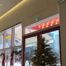 소금랜드 | 파주 두바이 소금빵 맛집, 카페 미니랜드 내돈내산 후기(주차/웨이팅)