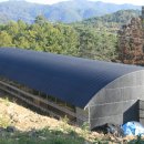 인암농원 이미지