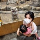 앵무새동물원 이미지