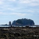 장고도8 이미지