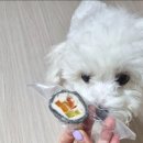 오도독캣 이미지