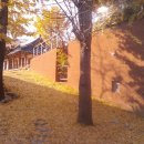 요산문학관 이미지