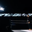 (주)몬스터가이드 이미지