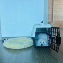 신공항동물병원 이미지