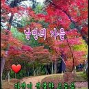 가림이 힐링 이미지