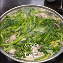 시청역 맛집 대복 직장인 점심으로 추천하는 복어지리 내돈내산 후기