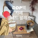 카페팔코 | 카페 코페드 팔레츠 동대문역사문화공원역 데이트 감성 카페 내돈내산