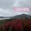 레드라인소프트 | 일본🇯🇵 가와구치코 당일치기 여행 오이시공원