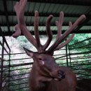 최성기농장 이미지