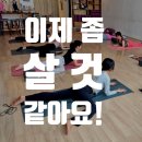 요가해보리