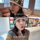 담비인테리어