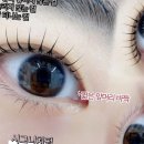 다인뷰티 이미지