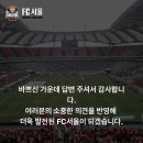 2022 K리그1 서울vs성남 이미지