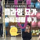 바디복싱 다이어트 스파르타 짐 | [부산 플라잉 요가] 처음 도전한 후기, 아더 스피닝&amp;필라테스 서면점
