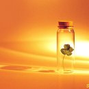 행운쉼터 이미지