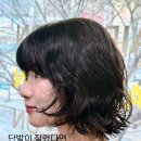 서울미장원 이미지