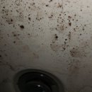 금성로2(동) 이미지