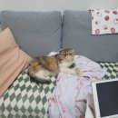현정카 | [4월_2] 나의 고유함은 더이상 결점이 아닌 사랑의 대상이 된다
