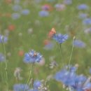 건강근력운동 이미지