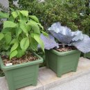 경인고등학교 이미지