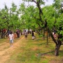 준 농장 이미지