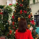 헤어살롱미올 | 단백질 트리트먼트추천 바디브 미오 약산성 트리트먼트 솔직후기