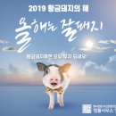 법률사무소일도